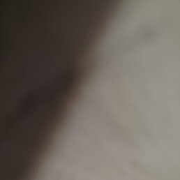 Salman, �����������, 29 ���