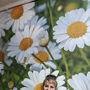 ���� ����, ���������� - ��������� 24 ������ 2024 � ������ ���� ����������
