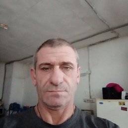 , 51, 