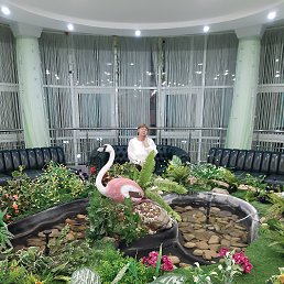 ���� ������, ������, 66 ��� - ��������� 30 ����� 2024