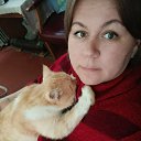 ���� �������, ��������, 40 ��� - ��������� 29 ����� 2026