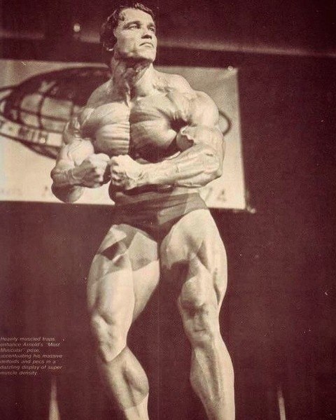 ���� �� ������ �op� ���� (1973 � 1974 ���) - 2