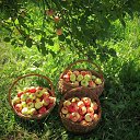 ���� ������, �����, 62 ���� - ��������� 11 ������� 2025 � ������ ���� ����������
