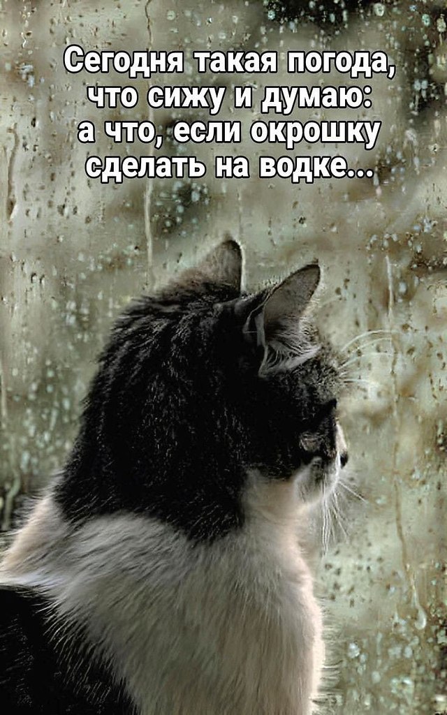   - 8  2024  06:10