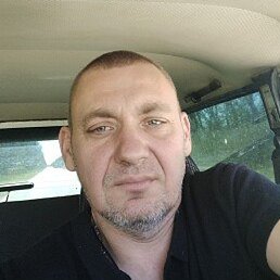 �������, ������, 41 ���