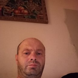  , 39 , 