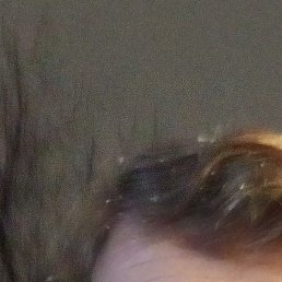 ���������, �������, 40 ���