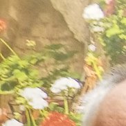 , 61 , -