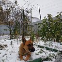 ���� �����, ������, 50 ��� - ��������� 12 ������ 2024 � ������ ���� ����������