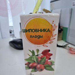 �����, ���������, 26 ���