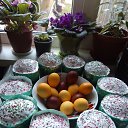 ���� ����, ������� �������� - ��������� 19 ������ 2025 � ������ �������