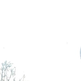 ���� �����, ������, 54 ����