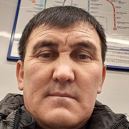 �����, �����-���������, 46 ���