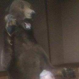 , 50, 