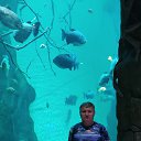 ���� ����, �����������, 66 ��� - ��������� 28 ������� 2023