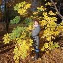 ���� ��������, ������, 54 ���� - ��������� 3 ���� 2024 � ������ ���� ����������