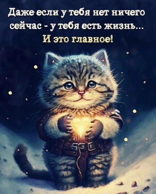  - 22  2024  14:15