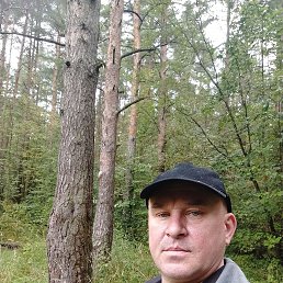 , 52 , -