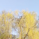 ���� ������ !**, ������, 66 ��� - ��������� 26 ������ 2025 � ������ ������ ��������