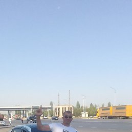 ����, ������, 41 ���