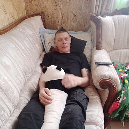 , 37, 