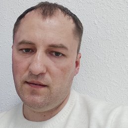 �����, 41 ���, �������