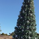 ���� �������, ������������, 55 ��� - ��������� 18 ������� 2025 � ������ ���� ����������