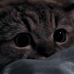 Nataliya, ������, 26 ���