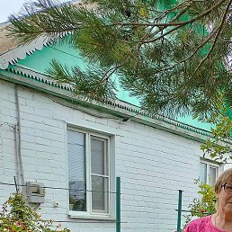 ��������, ���������, 65 ���