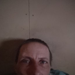 ������, 36 ���, ����