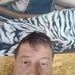 �������, 46 ���, ���������