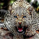 ���� Alex, �������, 68 ��� - ��������� 23 ������� 2024 � ������ ���� ����������