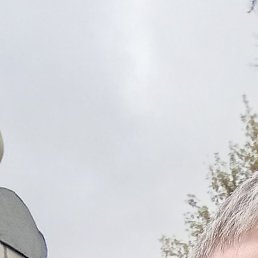 ������, ����, 47 ���