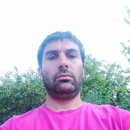 �����, 37 ���, ���������