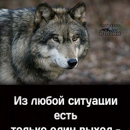 ���� ����, ������-��-����, 43 ���� - ��������� 22 ������ 2024