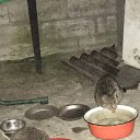 ���� ����, �����-���������, 70 ��� - ��������� 7 ��� 2024 � ������ ���� ����������