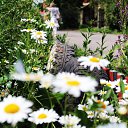 ���� �������, ����, 52 ���� - ��������� 21 ������� 2025