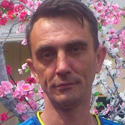 �������, ��������, 49 ���