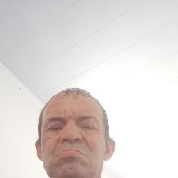 , 62, 