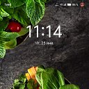 ���� ����, ������, 43 ���� - ��������� 30 ������ 2024 � ������ ���� ����������