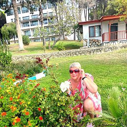 ������, �����, 65 ���