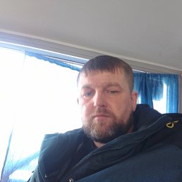 , 37, 