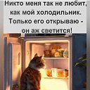 ���� �, ������ - ��������� 14 ����� 2026 � ������ ������ ��������