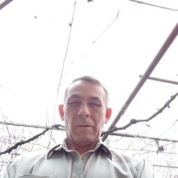 , 56, 