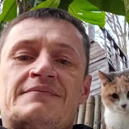 valentin net, 41 ���, ���������