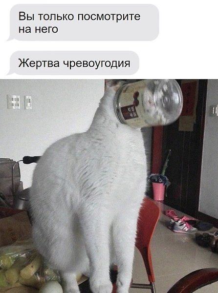    - 3  2025  04:29