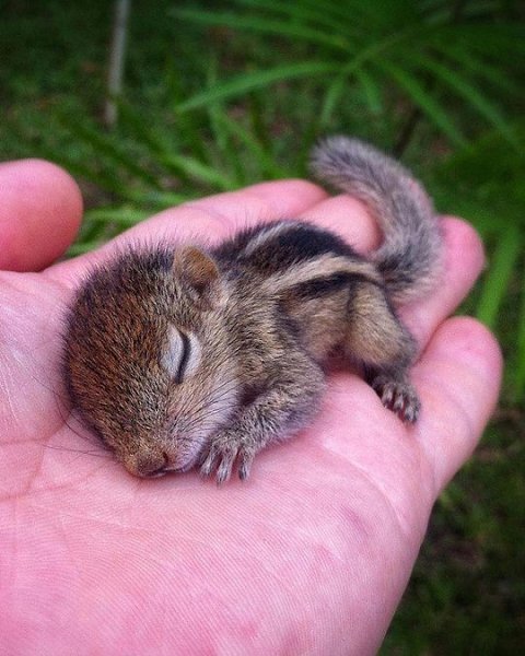 Moonlight - 2  2025  23:14