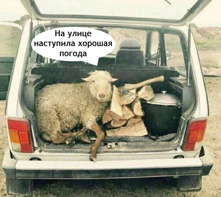 -   