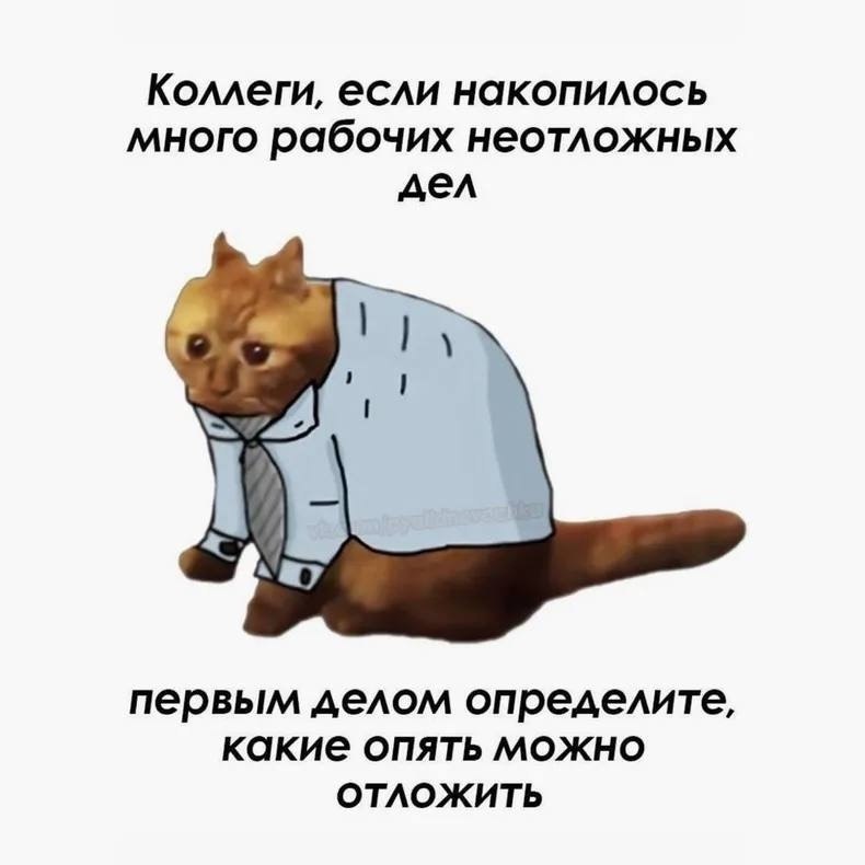 �������������� - 16 ������� 2025 � 21:54