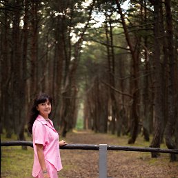 , 38, 